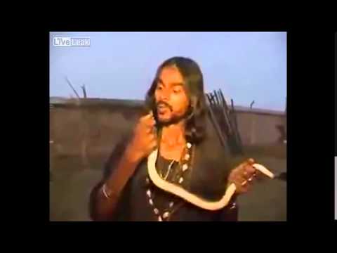 رجل يأكل ثعبانًا سامًا حيًا