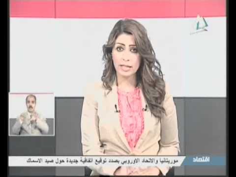 مراسل غزة يغلق الخط في وجه مذيع في التليفزيون