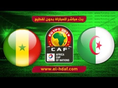 شاهد بثّ مباشر لمباراة السنغال والجزائر