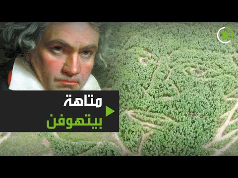 عائلة من المزارعين في ألمانيا تُصمم متاهة فريدة  في حقلها