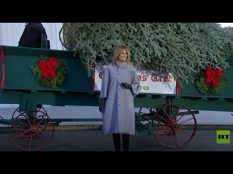 شاهد ميلانيا ترامب تتسلم شجرة عيد الميلاد للاحتفال لآخر مرة في البيت الأبيض
