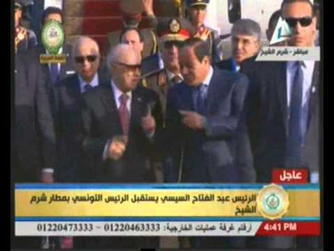 السيسي يستقبل نظيره التونسي للمشاركة في القمة العربية