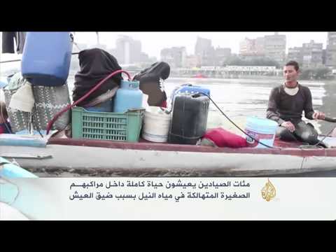 نفوق الأسماك بسبب تلوث مياه نهر النيل