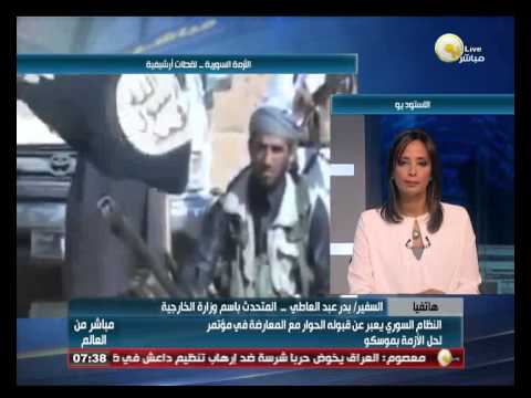القاهرة تؤكد أنَّ الأزمة السورية تمس الأمن المصري والعربي